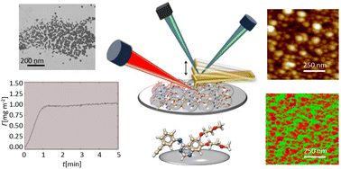 Graphical abstract: Quantitative and qualitative analyses of drug adsorption on silver nanoparticle monolayers: QCM, SERS, and TEIRA nanospectroscopy studies