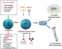 Graphical abstract: Nanogels for bone tissue engineering – from synthesis to application