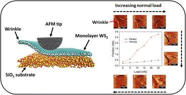 Graphical abstract: Nanoscale friction and wear behavior of a CVD-grown aged WS2 monolayer: the role of wrinkles and surface chemistry