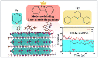 Graphical abstract: A moderate intensity ligand works best: a theoretical study on passivation effects of pyridine-based molecules for perovskite solar cells