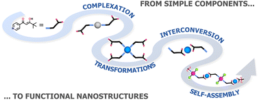 Graphical abstract: Enhanced catalytic performance derived from coordination-driven structural switching between homometallic complexes and heterometallic polymeric materials