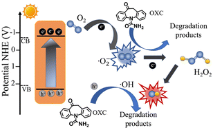 Graphical abstract: Multi-heteroatom-doping promotes molecular oxygen activation on polymeric carbon nitride for simultaneous generation of H2O2 and degradation of oxcarbazepine