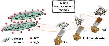 Graphical abstract: A study across scales to unveil microstructural regimes in the multivalent metal driven self-assembly of cellulose nanocrystals