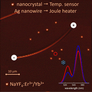 Graphical abstract: Single up-conversion nanocrystal as a local temperature probe of electrically heated silver nanowire