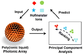 Graphical abstract: Visual demonstration and prediction of the Hofmeister series based on a poly(ionic liquid) photonic array