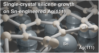 Graphical abstract: Crystal phase engineering of silicene by Sn-modified Ag(111)