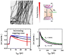 Graphical abstract: Ultrafast time-resolved carrier dynamics in tellurium nanowires using optical pump terahertz probe spectroscopy