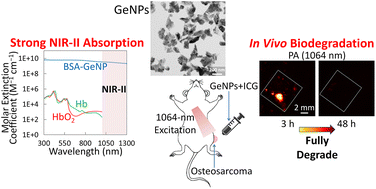 Graphical abstract: Biodegradable germanium nanoparticles as contrast agents for near-infrared-II photoacoustic imaging