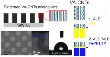Graphical abstract: ALD/MLD coating of patterned vertically aligned carbon nanotube micropillars with Fe-NH2TP hybrids