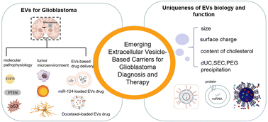 Graphical abstract: Emerging extracellular vesicle-based carriers for glioblastoma diagnosis and therapy