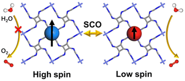 Graphical abstract: Proposal of spin crossover as a reversible switch of catalytic activity for the oxygen evolution reaction in two dimensional metal–organic frameworks