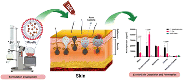 Graphical abstract: Nanotechnology and narasin: a powerful combination against acne