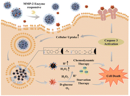 Graphical abstract: A smart magnetic nanosystem for sequential extracellular and intracellular release of proteins for cancer therapy