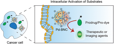 Graphical abstract: Biodegradable nanoemulsion-based bioorthogonal nanocatalysts for intracellular generation of anticancer therapeutics
