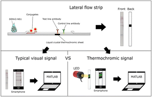 Graphical abstract: Development of a thermochromic lateral flow assay to improve sensitivity for dengue virus serotype 2 NS1 detection