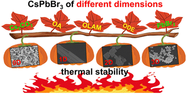 Graphical abstract: Studies on the optical stability of CsPbBr3 with different dimensions (0D, 1D, 2D, 3D) under thermal environments