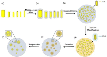 Graphical abstract: Superparticles of gold nanorods with controllable bandwidth and spectral shape for lipophilic SERS