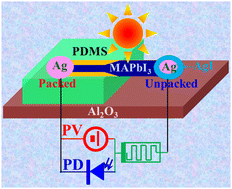 Graphical abstract: Controllably modulated asymmetrical photoresponse with a nonvolatile memory effect in a single CH3NH3PbI3 micro/nanowire for photorectifiers and photomemory