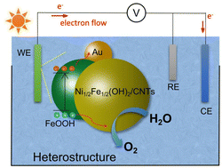 Graphical abstract: Heterointerface engineering of NiFe (oxy)hydroxides/CNTs by in situ anchoring of sub-nano Au for efficient water oxidation