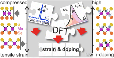 Graphical abstract: Evaluating strain and doping of Janus MoSSe from phonon mode shifts supported by ab initio DFT calculations