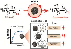 Graphical abstract: Platinum-based nanodendrites as glucose oxidase-mimicking surrogates