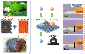 Graphical abstract: Bioinspired hierarchical colloidal crystal paper with Janus wettability for oil/water separation and heavy metal ion removal