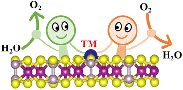 Graphical abstract: Machine-learning-accelerated screening of single metal atoms anchored on MnPS3 monolayers as promising bifunctional oxygen electrocatalysts