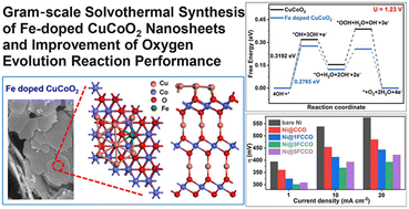 Graphical abstract: Gram-scale solvothermal synthesis of Fe-doped CuCoO2 nanosheets and improvement of the oxygen evolution reaction performance