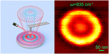 Graphical abstract: Néel-type optical target skyrmions inherited from evanescent electromagnetic fields with rotational symmetry