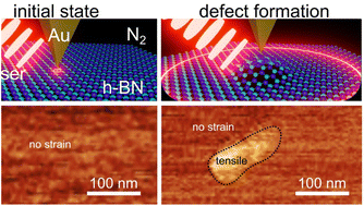 Graphical abstract: Locally strained hexagonal boron nitride nanosheets quantified by nanoscale infrared spectroscopy