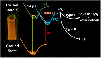 Graphical abstract: Photochemical synthesis of fluorescent Au16(RGDC)14 and excited state reactivity with molecular oxygen