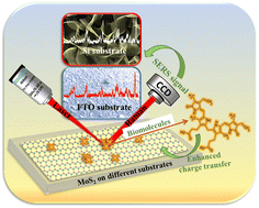 Graphical abstract: Large area CVD-grown vertically and horizontally oriented MoS2 nanostructures as SERS biosensors for single molecule detection