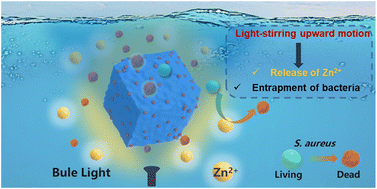 Graphical abstract: Light-driven MOF-based micromotors with self-floating characteristics for water sterilization