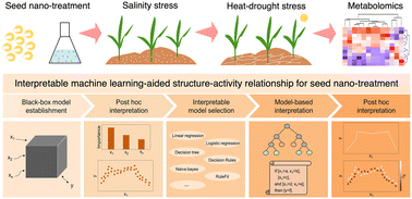 Graphical abstract: Interpretable machine learning-accelerated seed treatment using nanomaterials for environmental stress alleviation