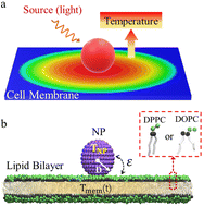 Graphical abstract: Thermal-controlled cellular uptake of “hot” nanoparticles
