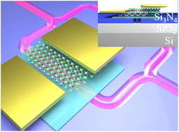 Graphical abstract: A waveguide-integrated self-powered van der Waals heterostructure photodetector with high performance at the telecom wavelength