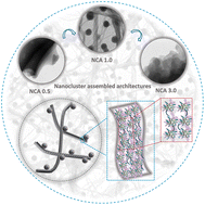 Graphical abstract: Secondary ligand-induced orthogonal self-assembly of silver nanoclusters into superstructures with enhanced NIR emission