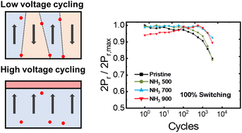 Graphical abstract: Impact of operation voltage and NH3 annealing on the fatigue characteristics of ferroelectric AlScN thin films grown by sputtering