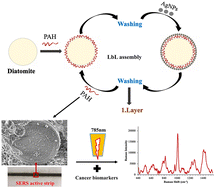 Graphical abstract: Layer-by-layer coating of natural diatomite with silver nanoparticles for identification of circulating cancer protein biomarkers using SERS