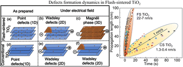Graphical abstract: In situ studies on defect formation dynamics in flash-sintered TiO2