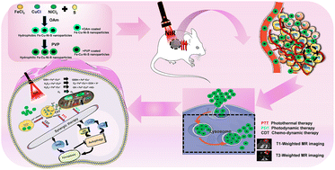 Graphical abstract: An ultrasmall PVP–Fe–Cu–Ni–S nano-agent for synergistic cancer therapy through triggering ferroptosis and autophagy