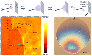 Graphical abstract: Blowing-inspired ex situ preparation of ultrathin hydrogel coatings for visibly monitoring humidity and alkaline gas
