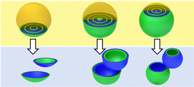 Graphical abstract: Janus nanoplates, -bowls, and -cups: controlling size and curvature via terpolymer/homopolymer blending in 3D confinement