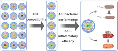 Graphical abstract: Engineering core–shell chromium nanozymes with inflammation-suppressing, ROS-scavenging and antibacterial properties for pulpitis treatment