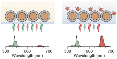 Graphical abstract: Probing nearby molecular vibrations with lanthanide-doped nanocrystals