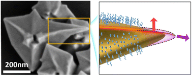 Graphical abstract: Gold nanohexagrams via active surface growth under sole CTAB control