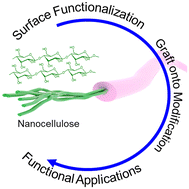 Graphical abstract: Graft onto approaches for nanocellulose-based advanced functional materials