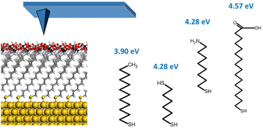 Graphical abstract: How far the chemistry of self-assembled monolayers on gold surfaces affects their work function?