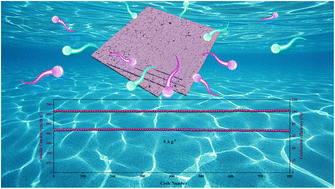 Graphical abstract: In situ Cu doping of ultralarge CoSe nanosheets with accelerated electronic migration for superior sodium-ion storage