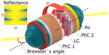 Graphical abstract: Hybrid Tamm and quasi-BIC microcavity modes